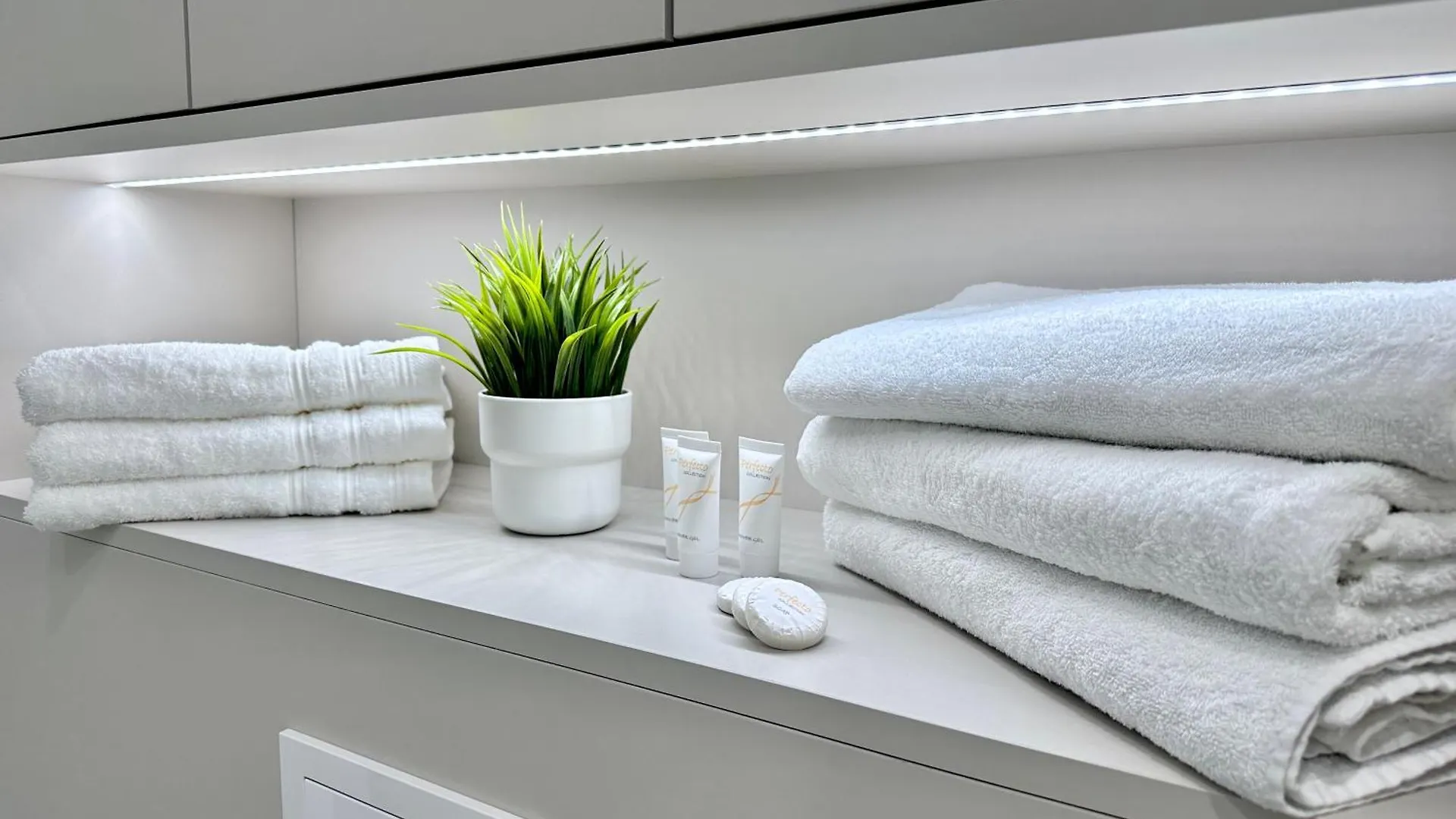 Teo Centrum Vratislav Apartmán